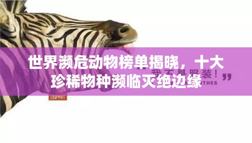 世界瀕危動物榜單揭曉，十大珍稀物種瀕臨滅絕邊緣