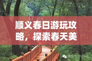 順義春日游玩攻略，探索春天美景，盡享愜意時(shí)光！