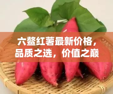 六鰲紅薯最新價(jià)格，品質(zhì)之選，價(jià)值之巔