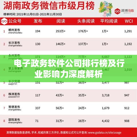 電子政務(wù)軟件公司排行榜及行業(yè)影響力深度解析