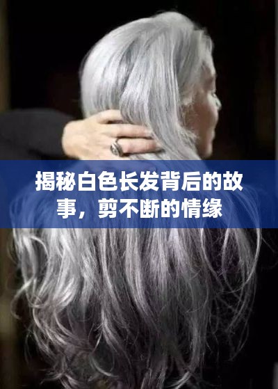 揭秘白色長發(fā)背后的故事，剪不斷的情緣