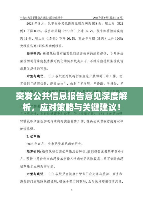 突發(fā)公共信息報告意見深度解析，應(yīng)對策略與關(guān)鍵建議！
