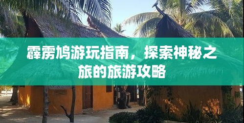 霹靂鳩游玩指南，探索神秘之旅的旅游攻略