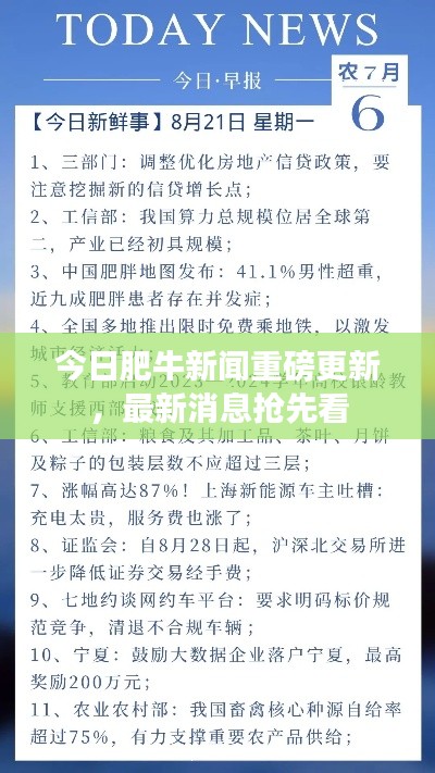 今日肥牛新聞重磅更新，最新消息搶先看