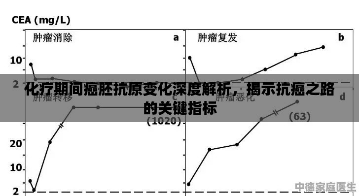 化療期間癌胚抗原變化深度解析，揭示抗癌之路的關(guān)鍵指標(biāo)