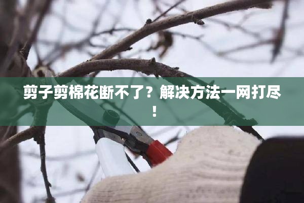 剪子剪棉花斷不了？解決方法一網(wǎng)打盡！