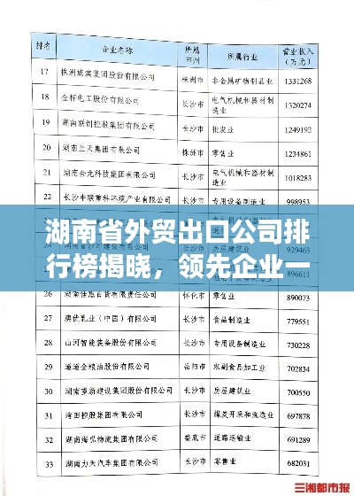 湖南省外貿(mào)出口公司排行榜揭曉，領(lǐng)先企業(yè)一覽