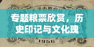 專題糧票欣賞，歷史印記與文化瑰寶的獨(dú)特魅力