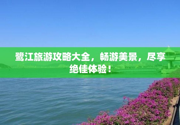 鷺江旅游攻略大全，暢游美景，盡享絕佳體驗(yàn)！