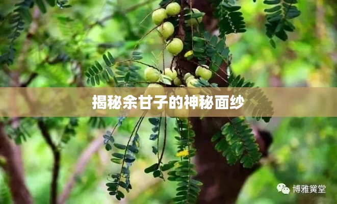 雍容爾雅 第2頁