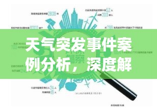 天氣突發(fā)事件案例分析，深度解讀背后的原因與應(yīng)對策略