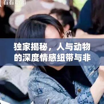 獨(dú)家揭秘，人與動(dòng)物的深度情感紐帶與非凡關(guān)系探索
