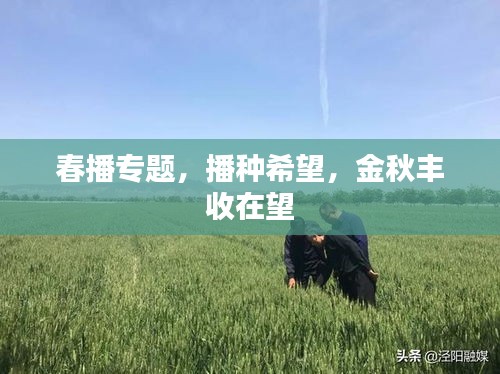 春播專題，播種希望，金秋豐收在望