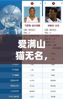 愛滿山貓無名，最新動態(tài)一網(wǎng)打盡