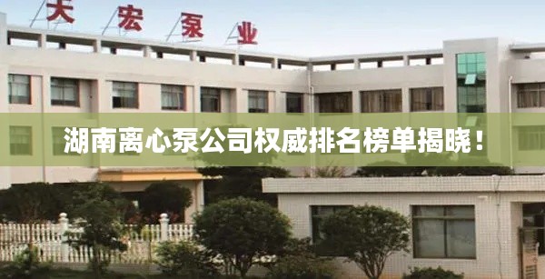 湖南離心泵公司權(quán)威排名榜單揭曉！