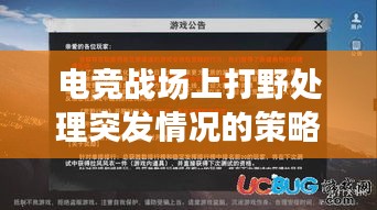 電競戰(zhàn)場上打野處理突發(fā)情況的策略，關(guān)鍵角色與應(yīng)對策略揭秘