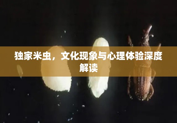 獨(dú)家米蟲，文化現(xiàn)象與心理體驗(yàn)深度解讀
