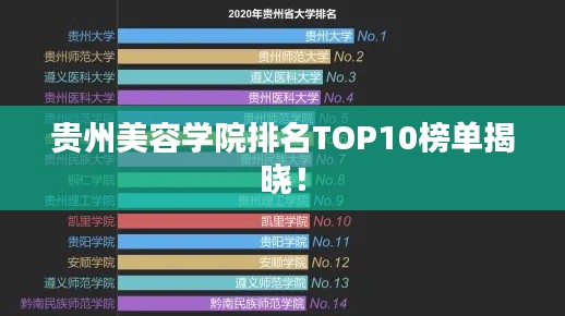 貴州美容學院排名TOP10榜單揭曉！