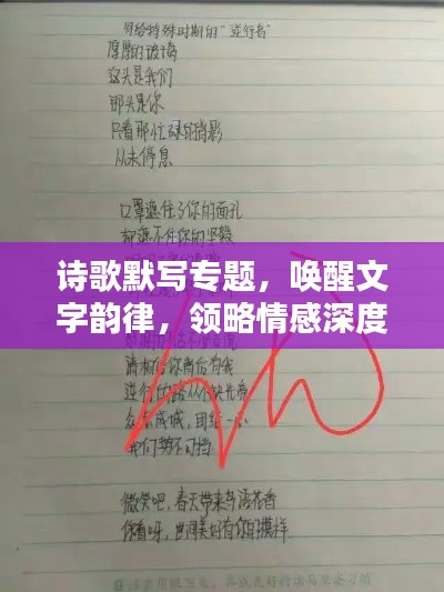 詩歌默寫專題，喚醒文字韻律，領略情感深度
