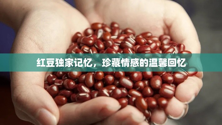 紅豆獨(dú)家記憶，珍藏情感的溫馨回憶
