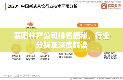 襄陽林產(chǎn)公司排名揭秘，行業(yè)分析及深度解讀