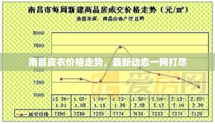南昌皮衣價格走勢，最新動態(tài)一網(wǎng)打盡