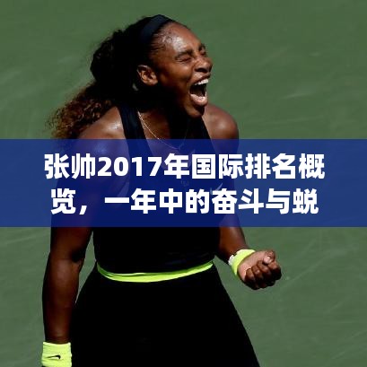 張帥2017年國際排名概覽，一年中的奮斗與蛻變