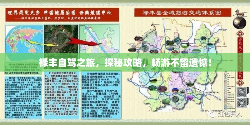 祿豐自駕之旅，探秘攻略，暢游不留遺憾！