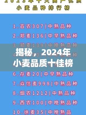 揭秘，2024年小麥品質十佳榜單解析