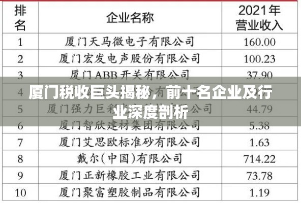 廈門稅收巨頭揭秘，前十名企業(yè)及行業(yè)深度剖析
