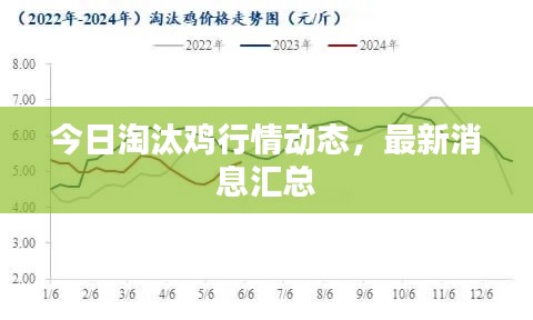今日淘汰雞行情動(dòng)態(tài)，最新消息匯總