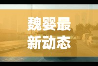 魏嬰最新動(dòng)態(tài)視頻曝光，不容錯(cuò)過(guò)！