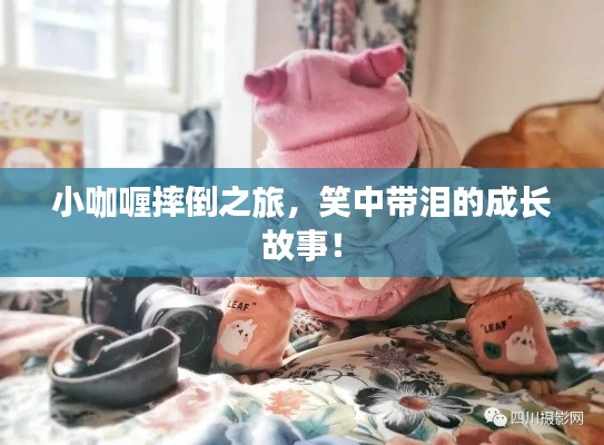 小咖喱摔倒之旅，笑中帶淚的成長(zhǎng)故事！