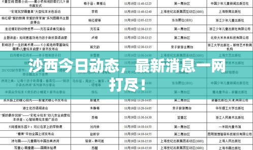 沙西今日動(dòng)態(tài)，最新消息一網(wǎng)打盡！