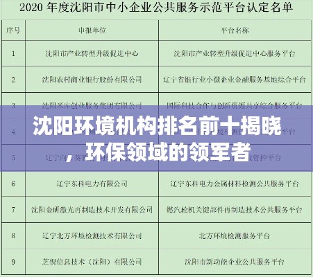 沈陽環(huán)境機(jī)構(gòu)排名前十揭曉，環(huán)保領(lǐng)域的領(lǐng)軍者