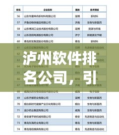 瀘州軟件排名公司，引領(lǐng)行業(yè)發(fā)展的技術(shù)力量標(biāo)桿