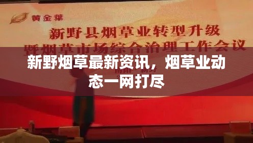 新野煙草最新資訊，煙草業(yè)動態(tài)一網(wǎng)打盡