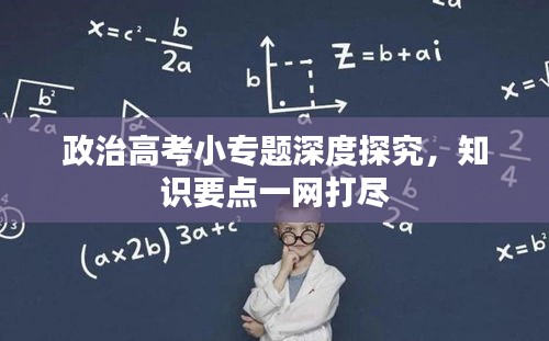 政治高考小專題深度探究，知識要點一網(wǎng)打盡